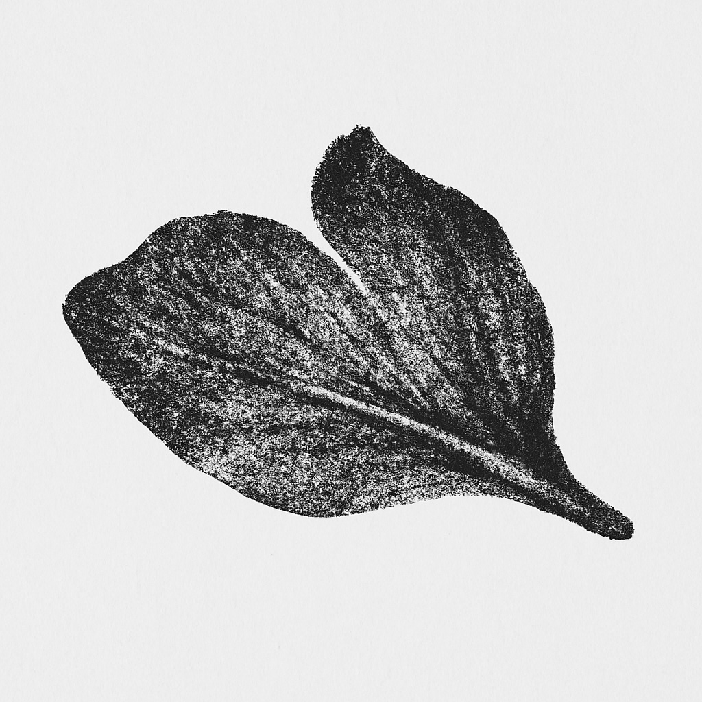Alexander Vox
